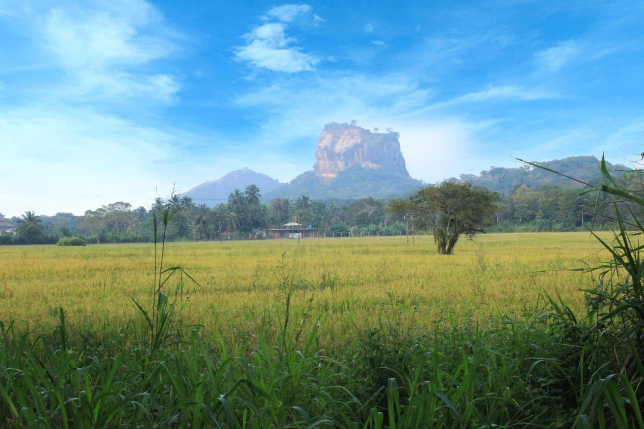 Sigiriya Hillside View Villa Kültér fotó