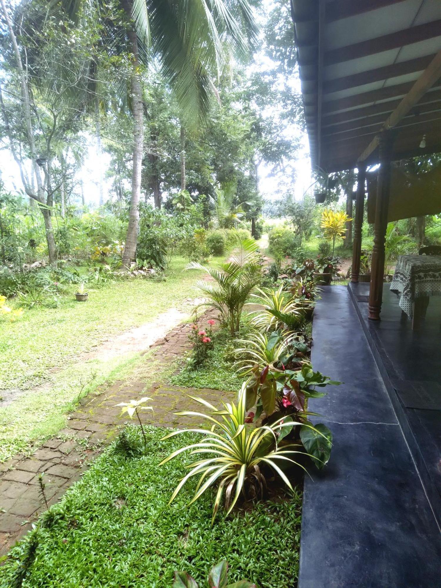 Sigiriya Hillside View Villa Kültér fotó